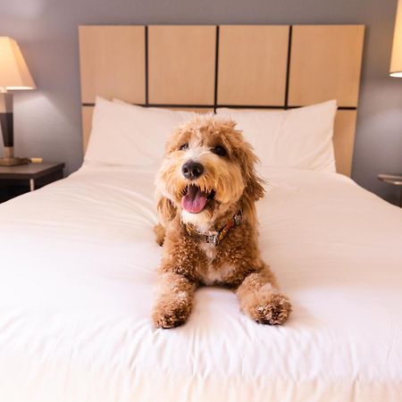 Sonesta Simply Suites Parsippany Morris Plains Extérieur photo